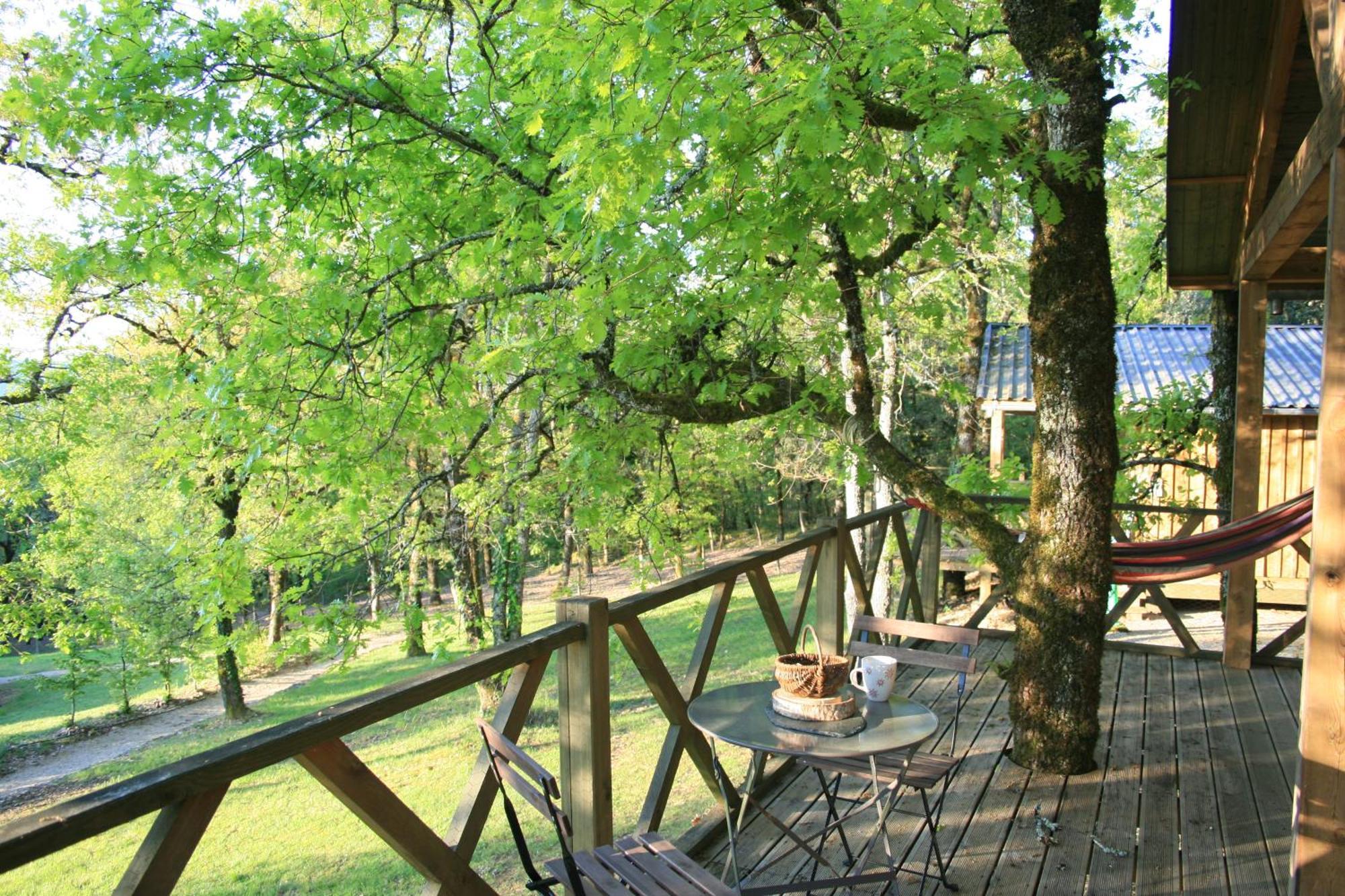 Chateau De Termes Martel Dış mekan fotoğraf
